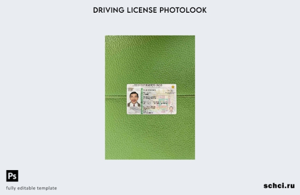 цифровая загрузка шаблона Puerto Rico DL Photolook FRONT